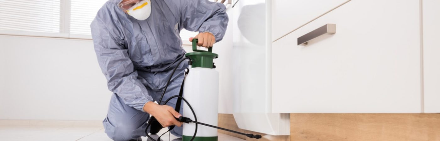 Southern & Beyond Pest Control