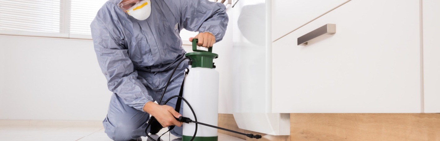 Pest Exterminator Near Me: Discover Extraordinary Relief for Your Besieged Ballarat Sanctuary