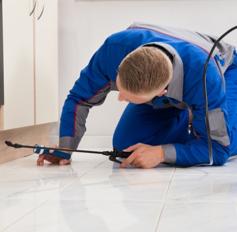 spider pest control services Bendigo & Melbourne